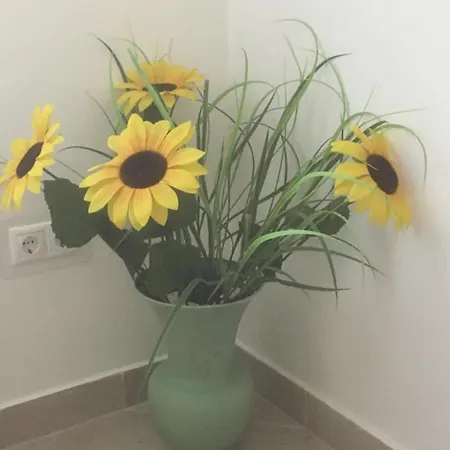 Apartament Vito