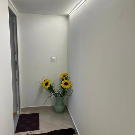 Vito Apartament *